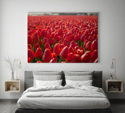 armia-czerwonych-tulipanow