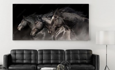 Obraz na płótnie Czarne ogiery z długą grzywą biegną na ciemnym tle