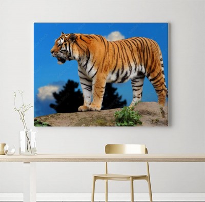 Obraz na płótnie Piękny tygrys na tle nieba