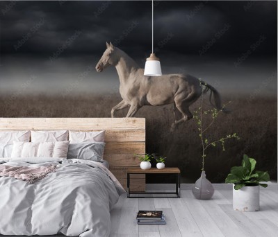 Fototapeta Biały koń po zmroku