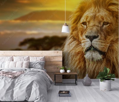 Fototapeta Portret lwa na tle sawanny i góry Kilimandżaro