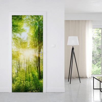 fotolia-82972458-subscription-monthly-xxl