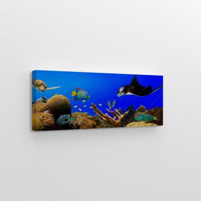 panorama-podwodnej-rafy-tropikalnej
