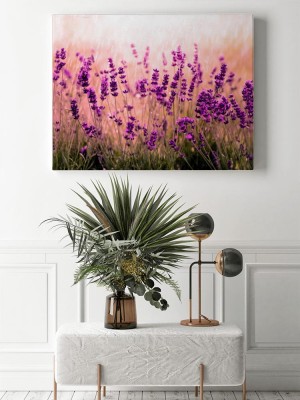 Obraz na płótnie Pole Lawendy