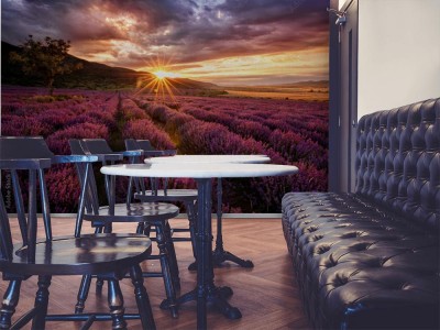 Fototapeta Oszałamiający krajobraz z lawendowym polem o wschodzie słońca