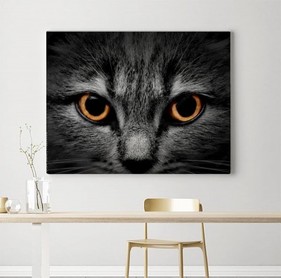 Obraz na płótnie Oczy drapieżnika