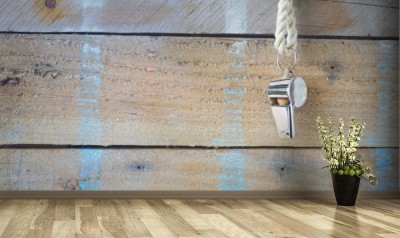 Fototapeta gwizdek sędziego piłki nożnej - piłki nożnej, nieczysty tło, panorama, wolne miejsce na kopię