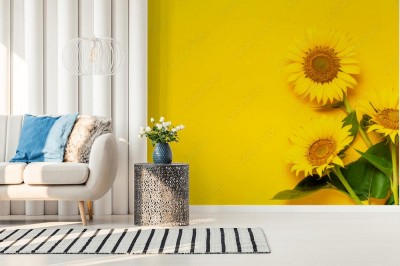 Fototapeta Słoneczniki z liśćmi na łodydze na jaskrawym żółtym tle