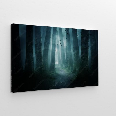 Obrazy do salonu Ścieżka przez ciemny las
