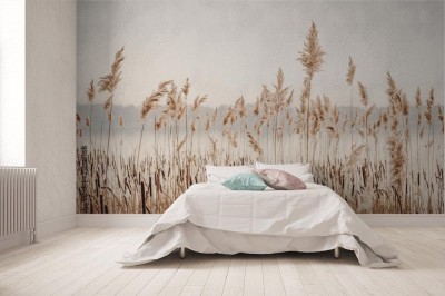 Fototapeta do sypialni - Brzeg jeziora z trawą