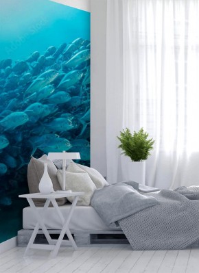 Fototapeta Ławica ryb