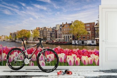 Fototapeta Tulipanowy horyzont w Amsterdamie