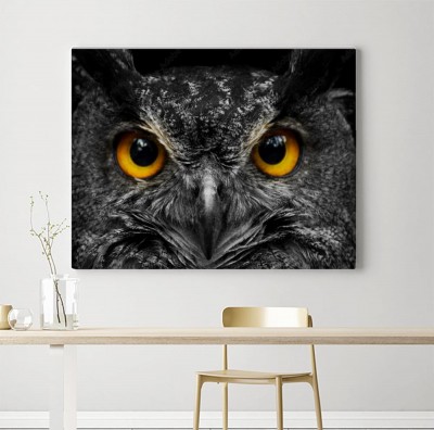 Obraz na płótnie Czarno-biała sowa portretowa z dużymi żółtymi oczami