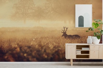 Fototapeta Jeleń na mglistej polanie
