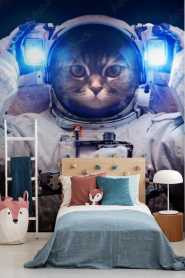 Fototapeta Kot w kosmosie