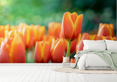 piekny-sciana-tulipanow