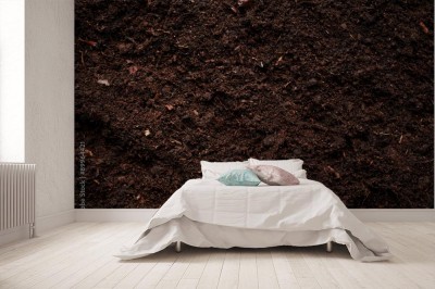 Fototapeta Tekstura gleby -czarnoziem