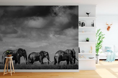 Fototapeta Wielkie słonie w mrocznej scenerii