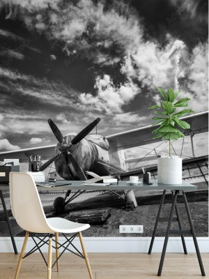 Fototapeta z czarno białym wzorem w stylu retro przedstawiającym samolot