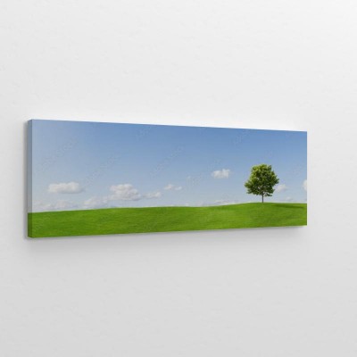 panorama-z-zielona-laka-i-samotnym-drzewem