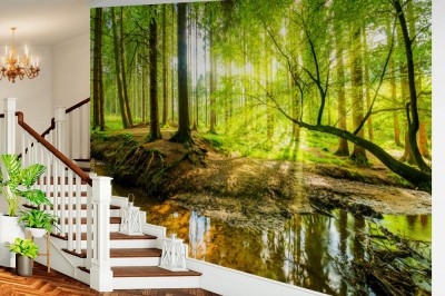 Fototapeta Panorama lasu ze strumieniem i promieniami słońca