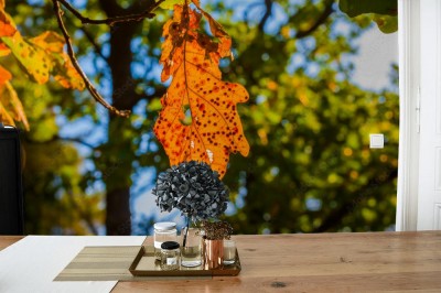 Fototapeta Piękne tło błękitnego letniego nieba