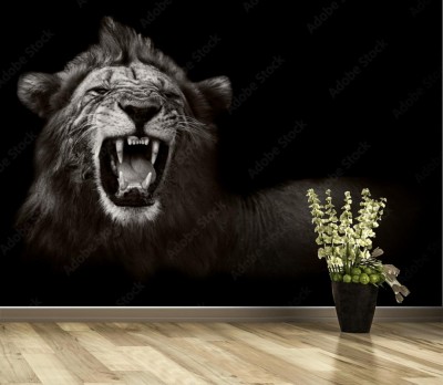 Fototapeta Ryczący Lew