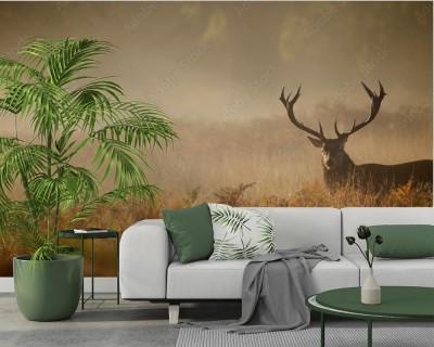 Fototapeta Sylwetka Jelenia we mgle