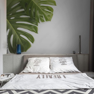 Fototapeta Duży zielony tropikalny liść egzotycznej rośliny monstera