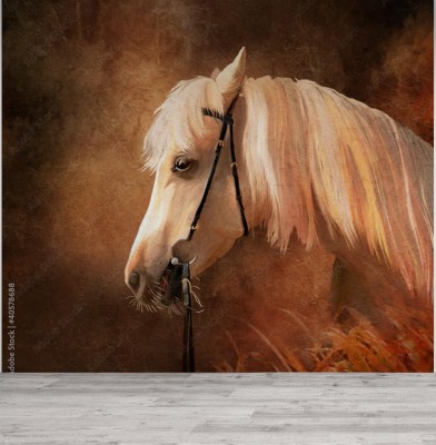 Fototapeta Portret konia