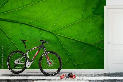 Fototapeta Zielony liść