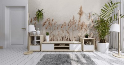 Fototapeta do sypialni - Brzeg jeziora z trawą