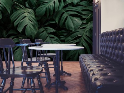 Fototapeta z ciemnym wzorem liści monstera