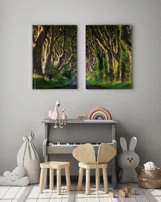 Obrazy do salonu Droga przez korony drzew