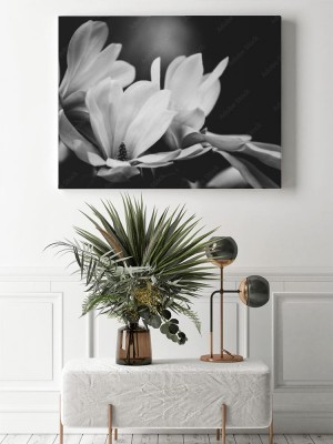 Obraz na płótnie Kwiat magnolii na czarnym tle