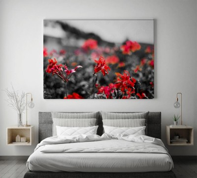 Obrazy do salonu Separacja koloru - czerwone kwiaty
