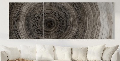 Obrazy do salonu Struktura drewna w przekroju poprzecznym