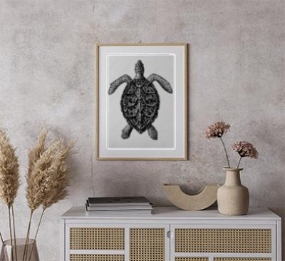 hawksbill-zolw-morski-grawerowanie-vintage-ilustracji