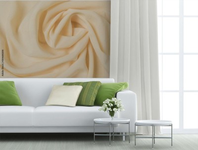 Fototapeta Abstrakcyjne fałdy delikatnej delikatnych płatków beżowej róży