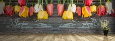 Fototapeta Tulipany na starym drewnianym tle