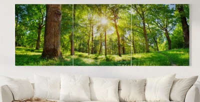 Obrazy do salonu Stare liście dębu w świetle poranka