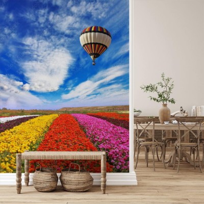 Fototapeta Balon nad polem kwiatów