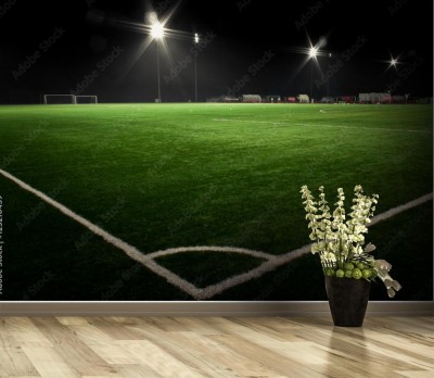 Fototapeta Boisko piłkarskie