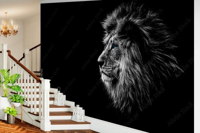 Fototapeta Lew w czerni i bieli z niebieskimi oczami