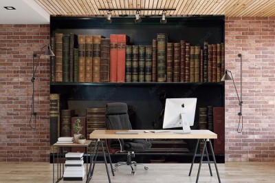 Fototapeta Półka z antykami i rzadkimi książkami