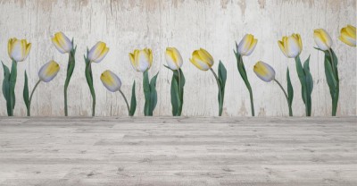 Fototapeta Wiosenna panorama z kwiatów tulipana