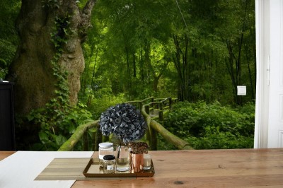 Fototapeta Azjatycka dżungla