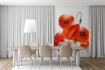 Fototapeta Mak na białym tle