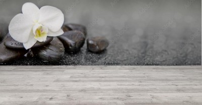 Fototapeta Pojedyncza biała orchidea i czarne kamienie
