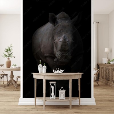 bialy-nosorozec-na-ciemnym-tle